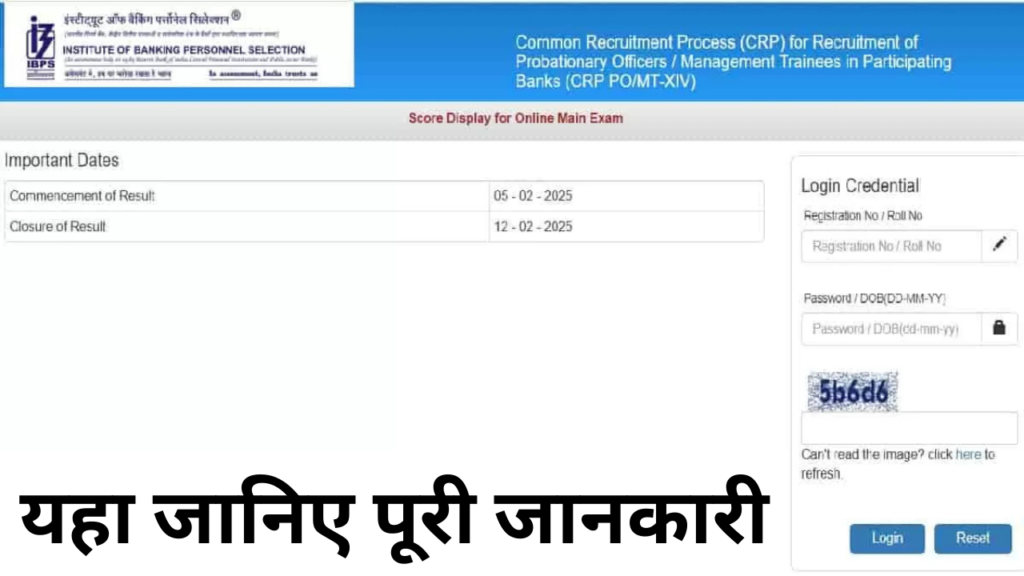 ibps, sarkari job