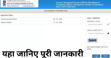 ibps, sarkari job